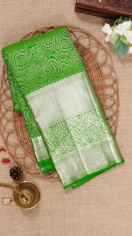 Saree Product Image