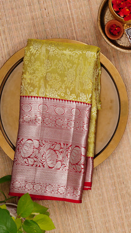 Saree Product Image