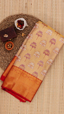 Saree Product Image