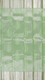Sea Green Kanchi Pattu Saree with Silver Butta Detailing