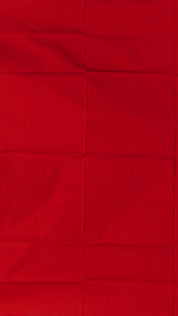 Cross-Lined Ikkat Silk Saree in Black with Red Accents