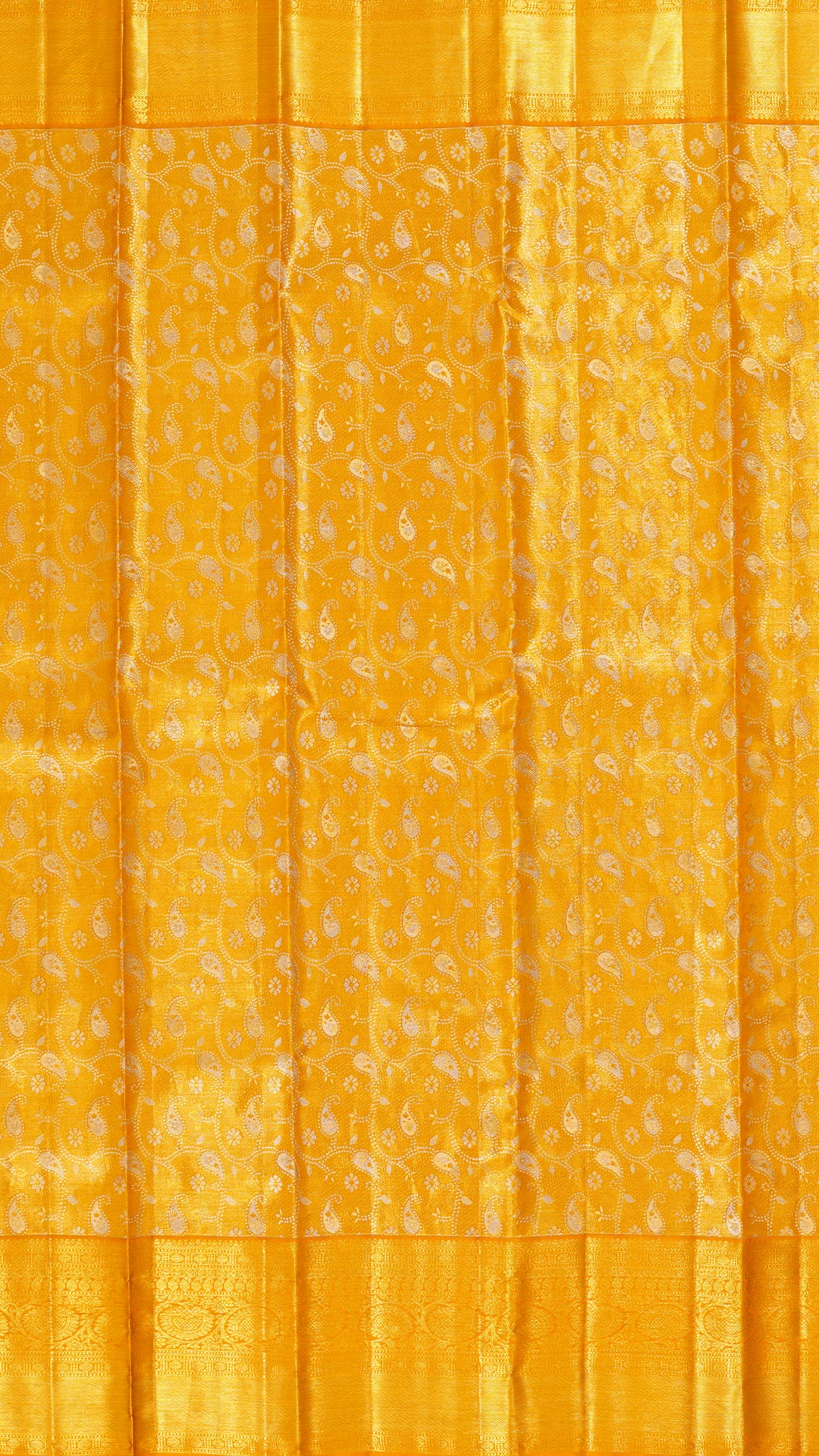 All Over Gold Kanchipuram Silk Saree with Self Zari Border