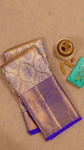 Multi-Colour Dharmavaram Pattu Saree with Zari Border