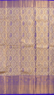 Multi-Colour Dharmavaram Pattu Saree with Zari Border