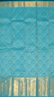Sky Blue Kanchi Pattu Saree with Rich Zari Border