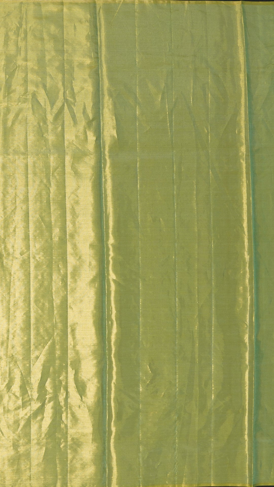 Beige Kanchi Pattu Saree with Self Floral Border