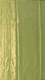 Beige Kanchi Pattu Saree with Self Floral Border