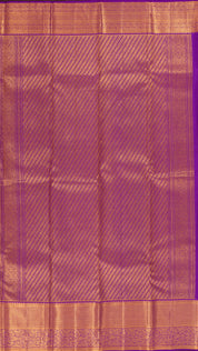 Light Blue Kanchipuram Silk Saree with Silver Butta and Purple Border