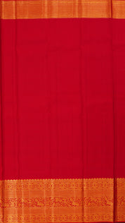 Powder Blue Kanchipuram Silk Saree with Red Brocade Border and Silver Zari