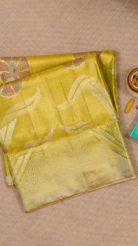 Multi-Colour Dharmavaram Pattu Saree with Contrast Border