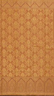 Biscuit Dharmavaram Pattu Saree with Self Brocade Design