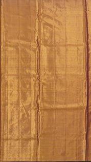 Multi-Colour Dharmavaram Pattu Saree with Contrast Border