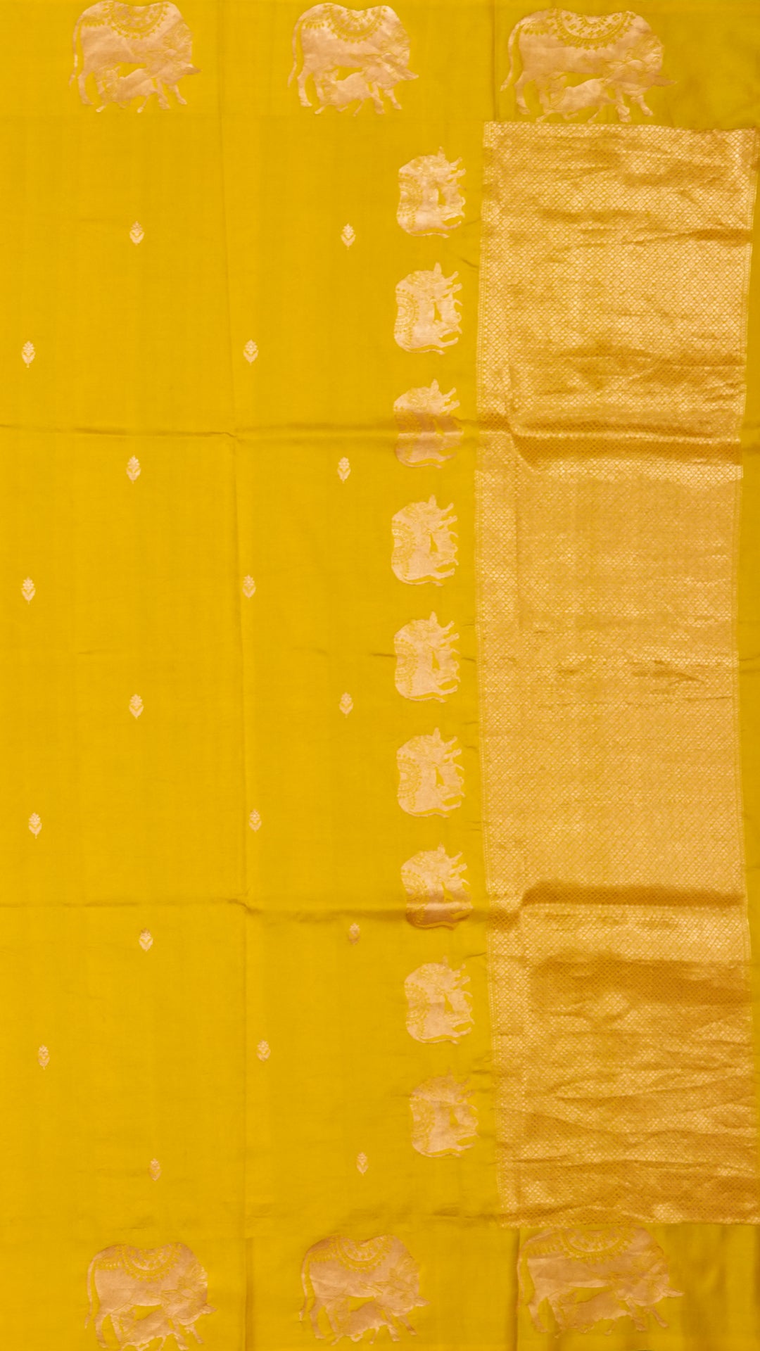 Golden Butta Banaras Silk Saree with Yellow Pichwai Border