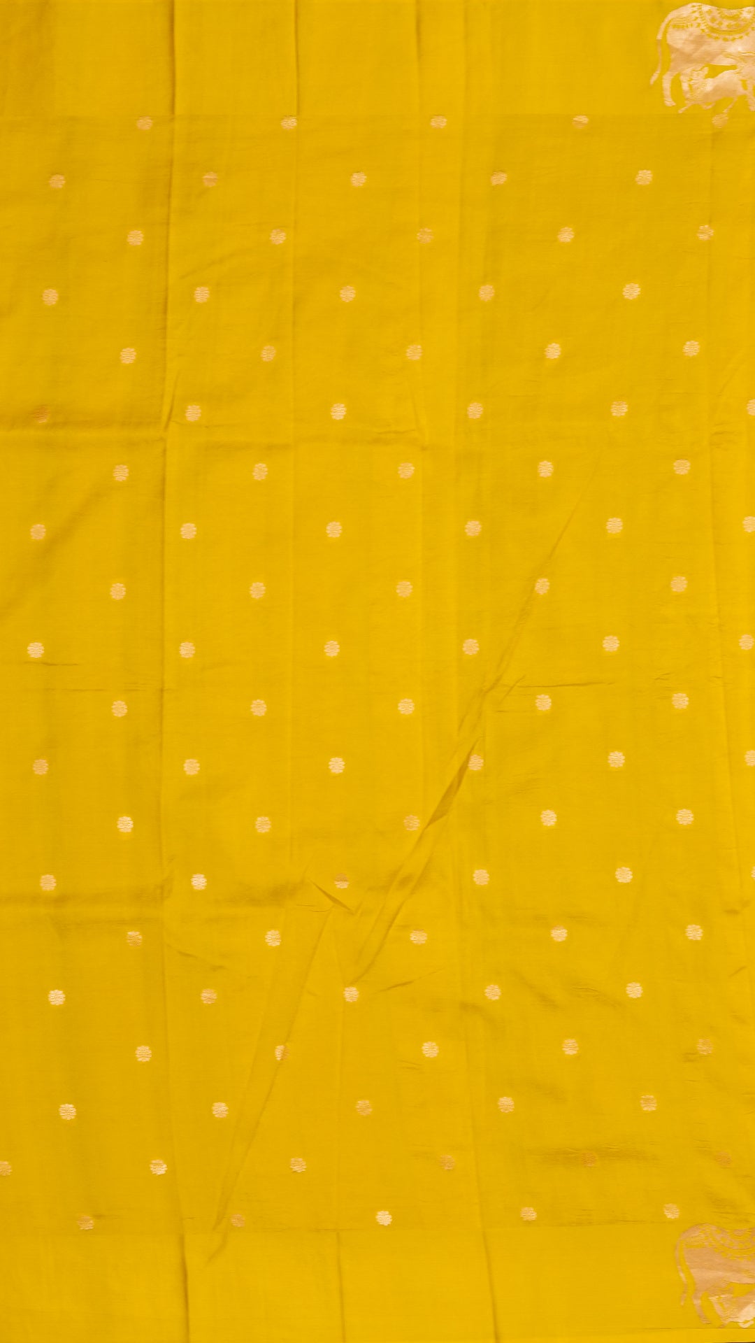 Golden Butta Banaras Silk Saree with Yellow Pichwai Border