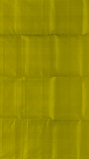 Dual Colour Soft Pattu Saree with Green Silver Zari Border