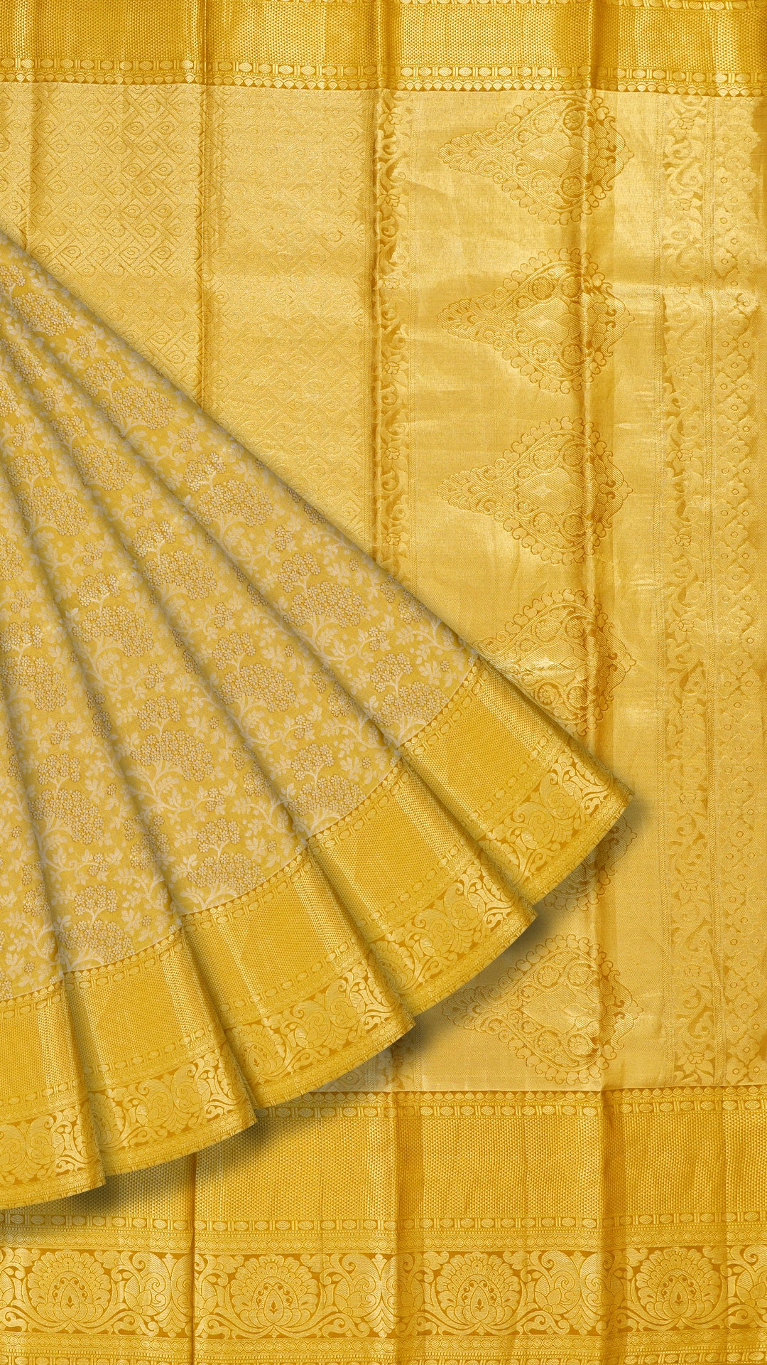 Golden All Over Silver Zari Kanchi Pattu Saree with Self Tissue Border