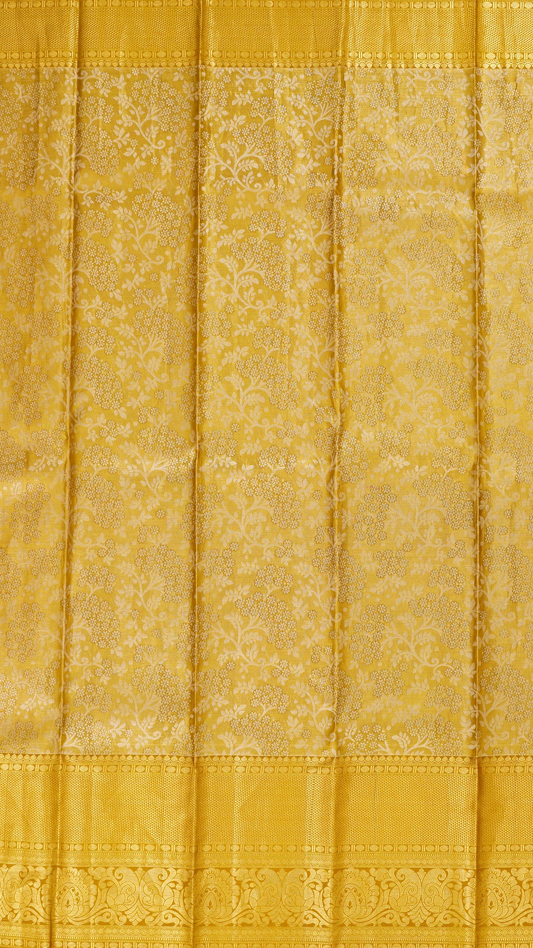 Golden All Over Silver Zari Kanchi Pattu Saree with Self Tissue Border