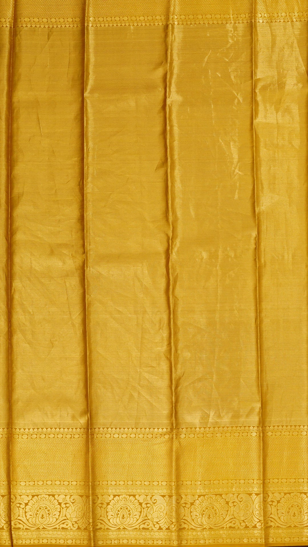 Golden All Over Silver Zari Kanchi Pattu Saree with Self Tissue Border