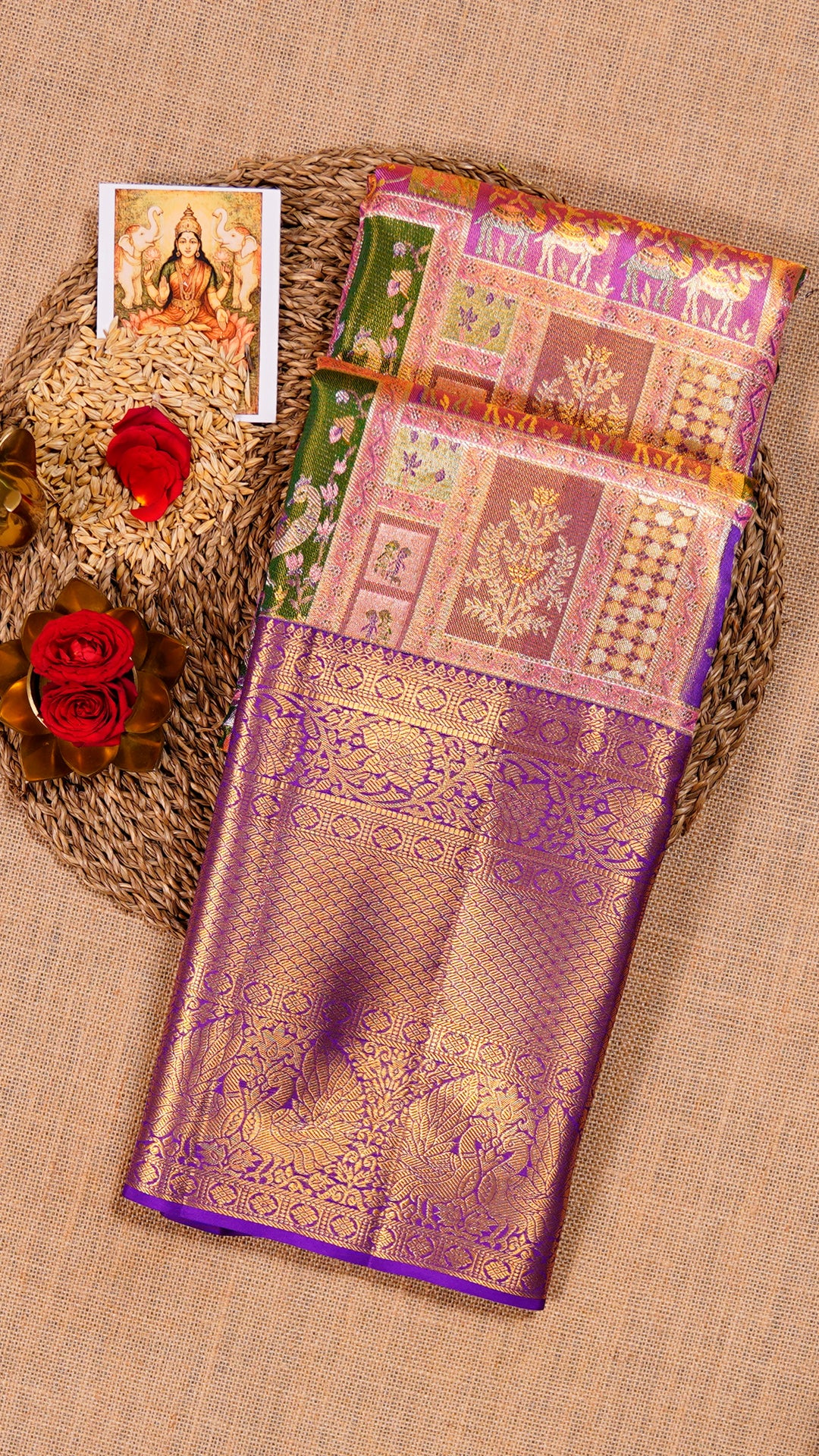 Multi Colour Kanchipattu Silk Saree Zari Border